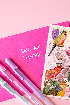 Sakura Gelly Roll Moonlight Pastel color Pack of 6 colored Pens